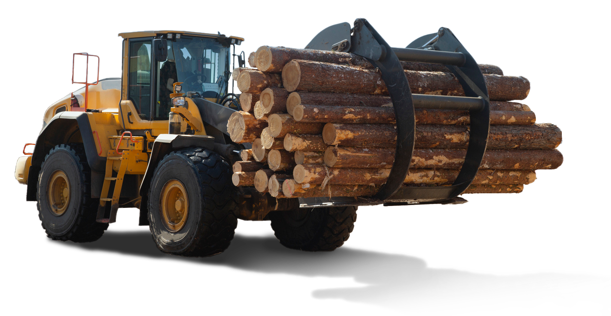 Forestry Insurance